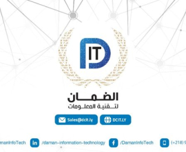 Daman Information Technology